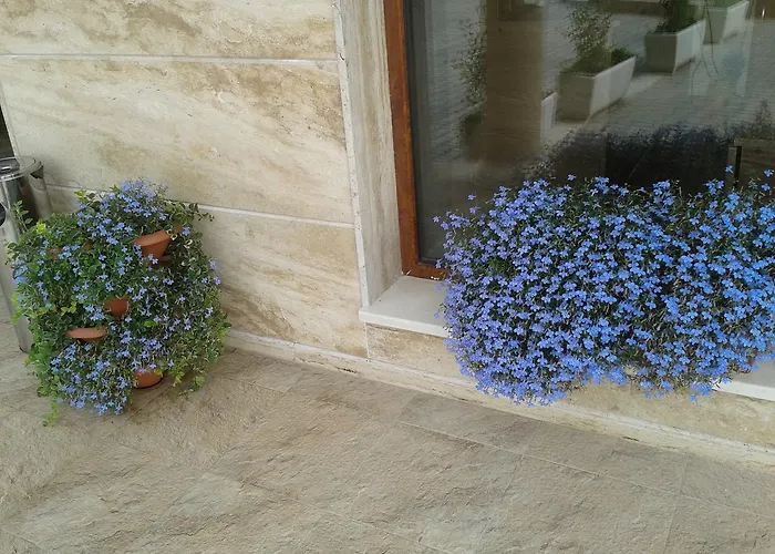 Seasons 3 2* Napospart